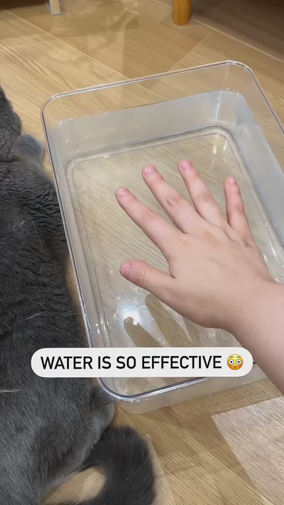 Cepillo De Vapor Para Gatos 3 En 1